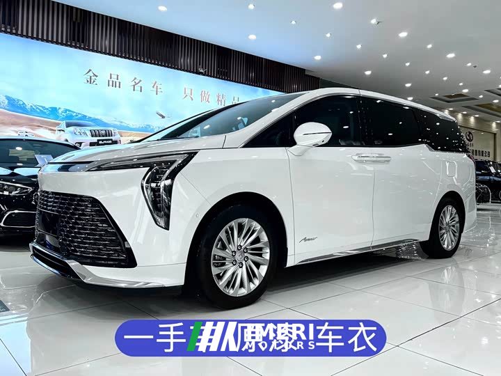 BYD Century 2023 2.0T seven-seat Yuanshi Edition