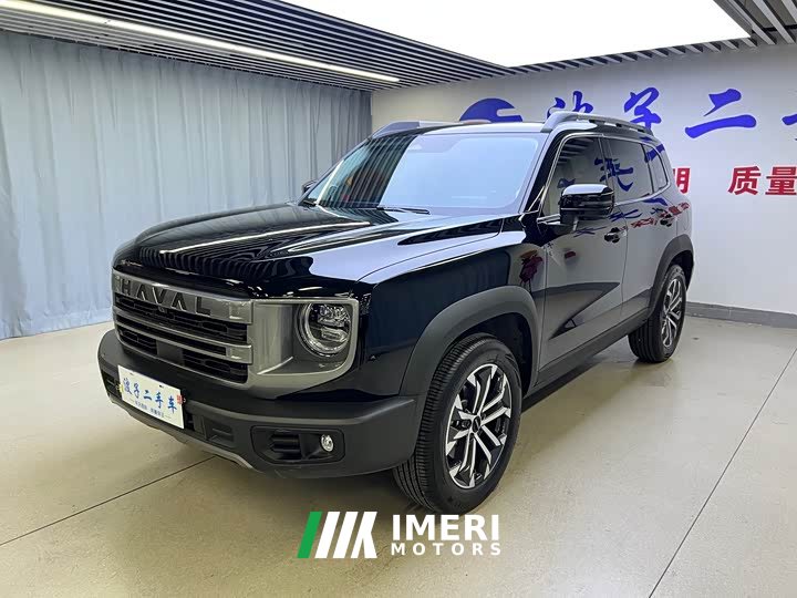 Haval Big Dog 1.5T DCT Border Collie Edition