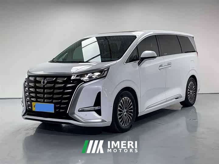 Denza D9 DM-i 980 four-wheel drive flagship