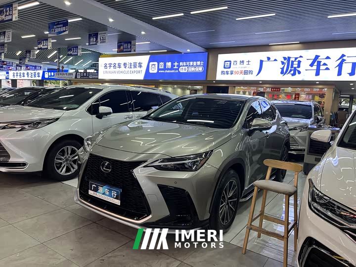 Lexus NX 260 front-wheel drive Chuangchi version
