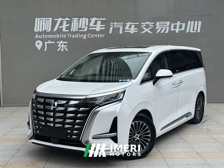 Denza D9 DM-i 970 four-wheel drive flagship