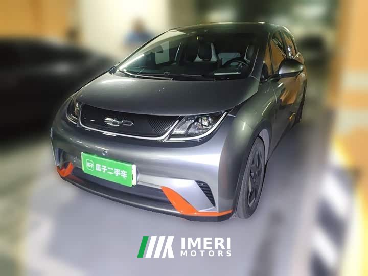BYD Dolphin 2021 405km fashion version