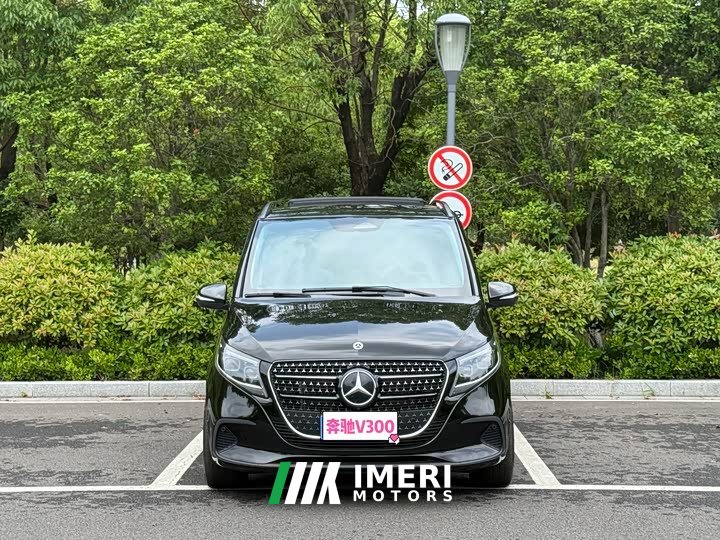 Mercedes-Benz V-Class 2024 V 300 Pilot Edition
