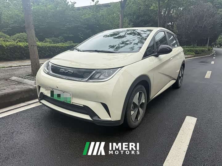 BYD Dolphin 2023 420km Free Edition