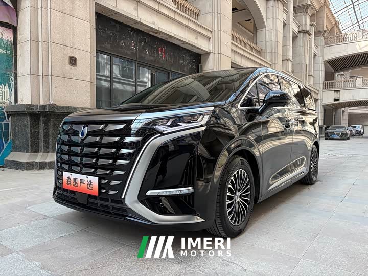 Denza D9 DM-i 970 four-wheel drive flagship