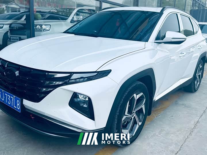 Lexus Tucson 2023 Tucson L 1.5T automatic two-wheel drive LUX premium version