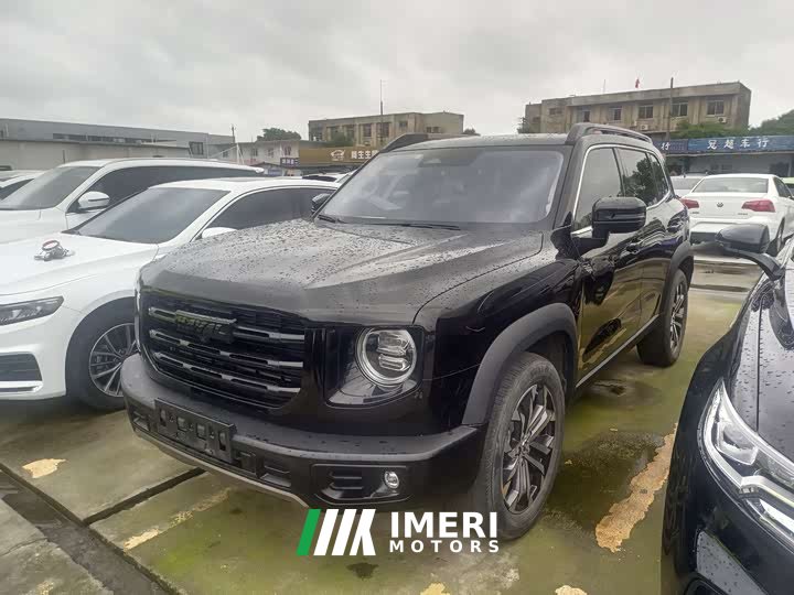 Haval Big Dog 1.5T DCT two-wheel drive Border Collie version
