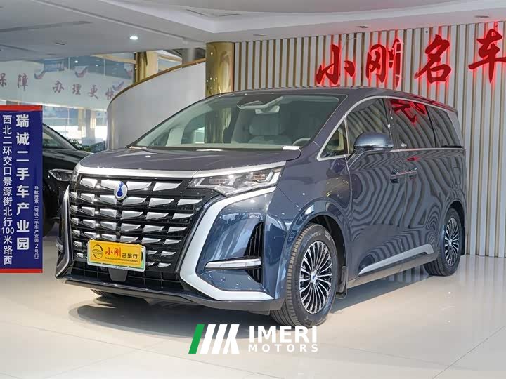 Denza D9 DM-i 970 four-wheel drive flagship