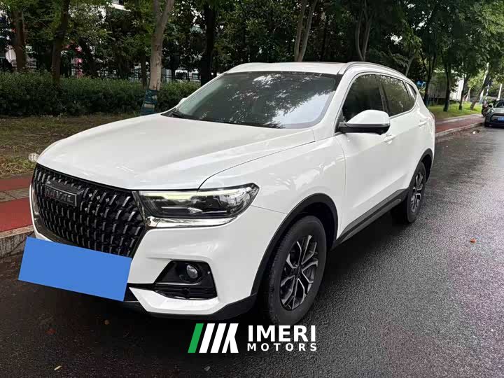 Haval H6 2023 National Fashion Edition 1.5T Automatic Urban Edition