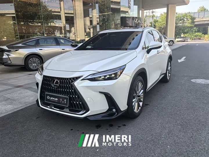 Lexus NX New Energy 2022 400h Changling Edition