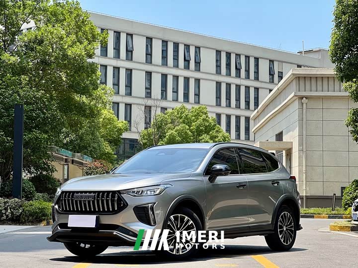 Haval Red Rabbit 2023 1.5T Dynamic Type
