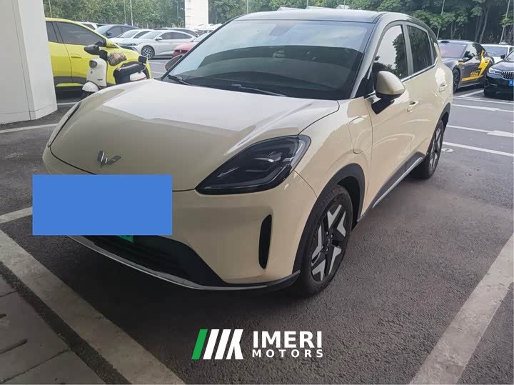 Wuling Bingo S 430km Flagship Edition
