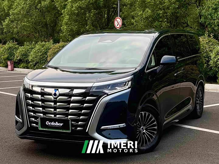 Denza D9 DM-i 970 four-wheel drive flagship