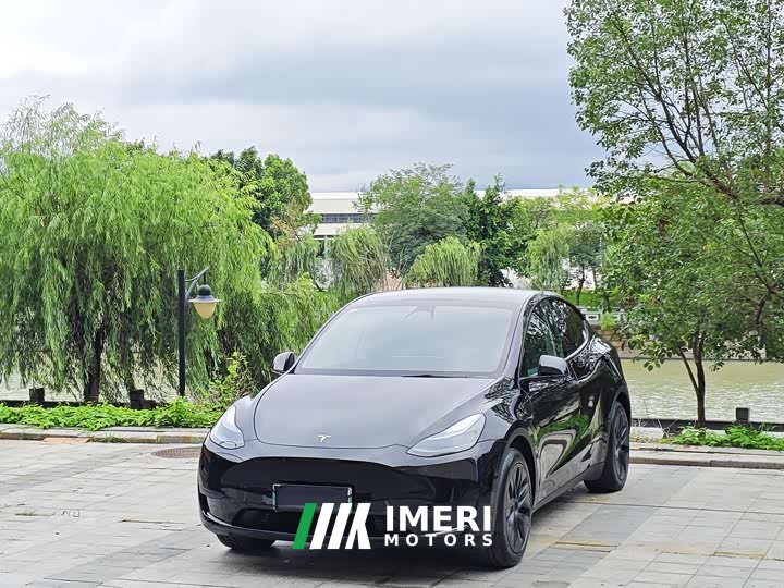 Tesla Model Y rear-wheel drive version