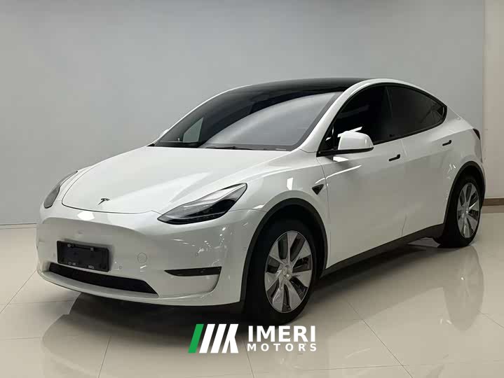 Tesla Model Y rear-wheel drive version