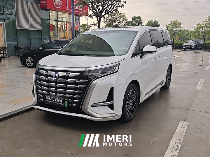 Denza D9 DM-i 970 four-wheel drive flagship