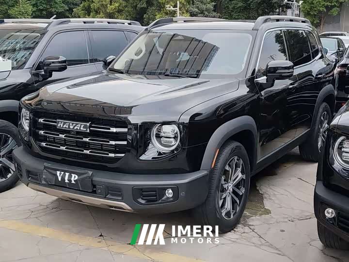Haval Big Dog 1.5T DCT two-wheel drive Border Collie version