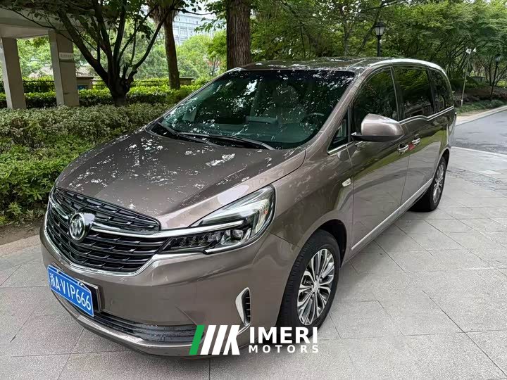 Buick GL8 2020 Land Business Class 652T Premium