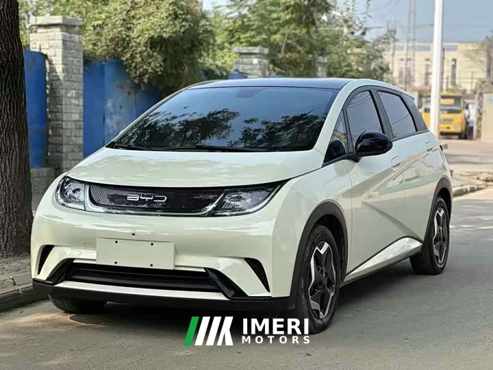 BYD Dolphin 2021 405km fashion version