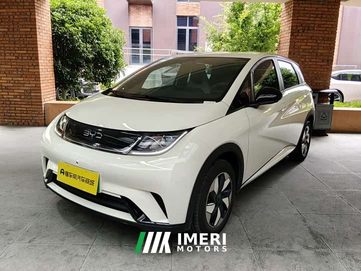 BYD Dolphin 420km Free Edition