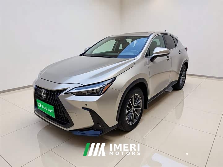 Lexus NX New Energy 2023 400h Changyue Edition