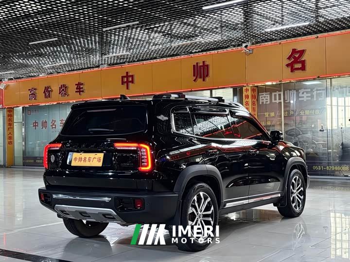 Havaldog 2.0T DCT four-wheel drive Chinese pastoral dog hunting version