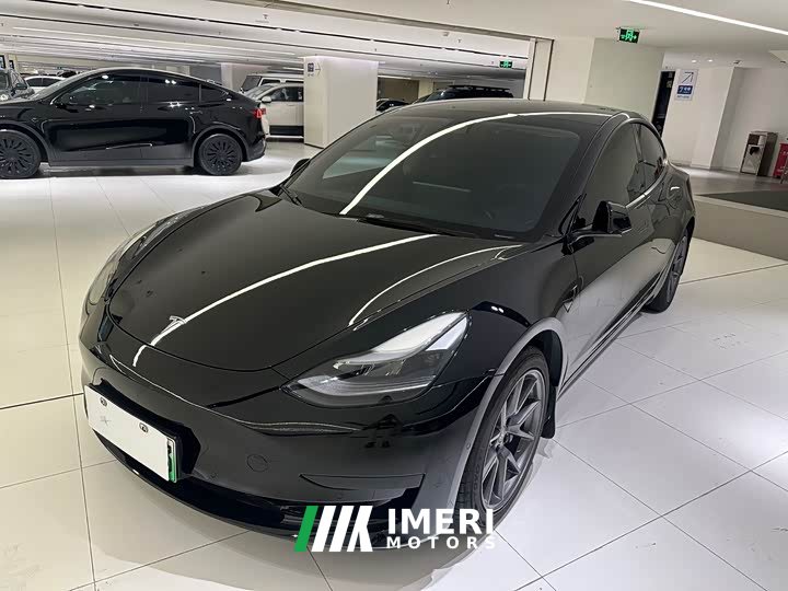 Tesla Model 3 2021 standard range rear drive upgraded version 3D6