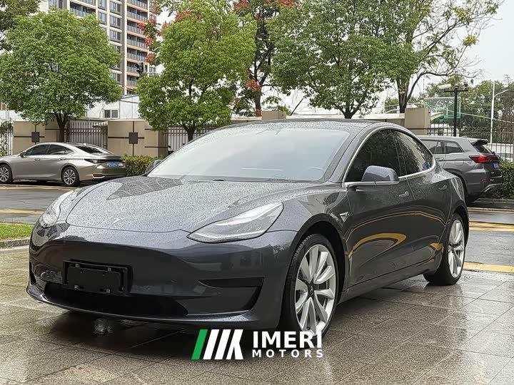 Tesla Model 3 2021 Standard Range Rear Drive Upgraded Version