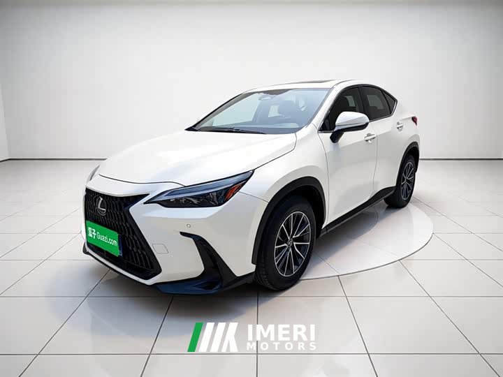 Lexus NX 260 front-wheel drive Chuangyou Special Edition