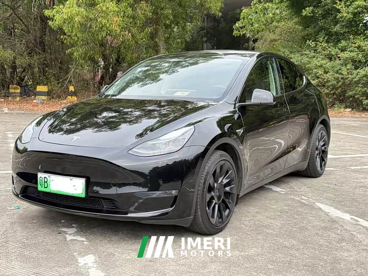Tesla Model Y rear-wheel drive version