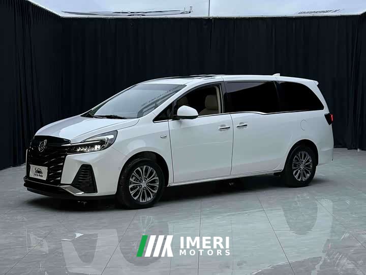 Buick GL8 land business class premium type