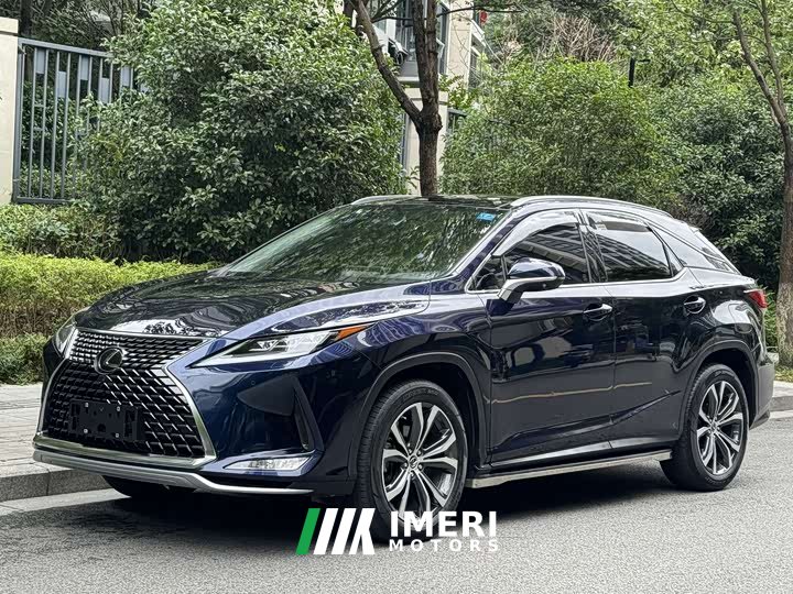 Lexus RX 2020 300 four-wheel drive elegant version National VI