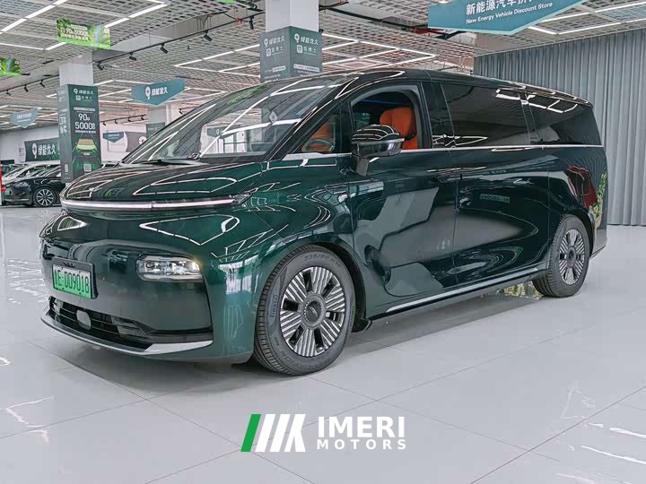 Lexus Yizhen L380 116 degrees 6 seats 2WD Pro