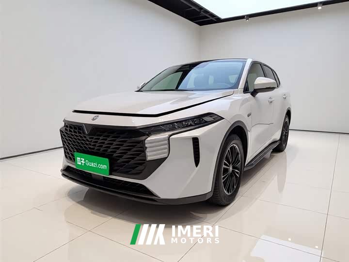 Lynk & Co Venucia Big V 2021 260T Idol Edition