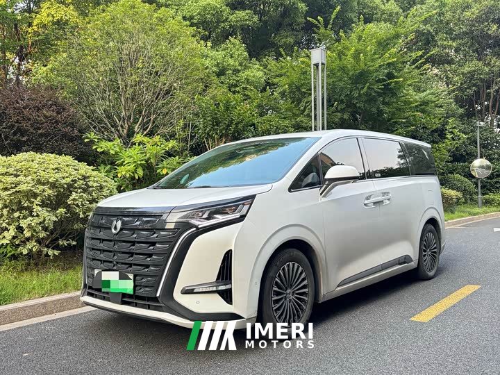 Denza D9 DM-i 970 four-wheel drive flagship