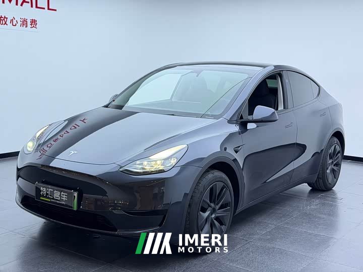 Tesla Model Y rear-wheel drive version
