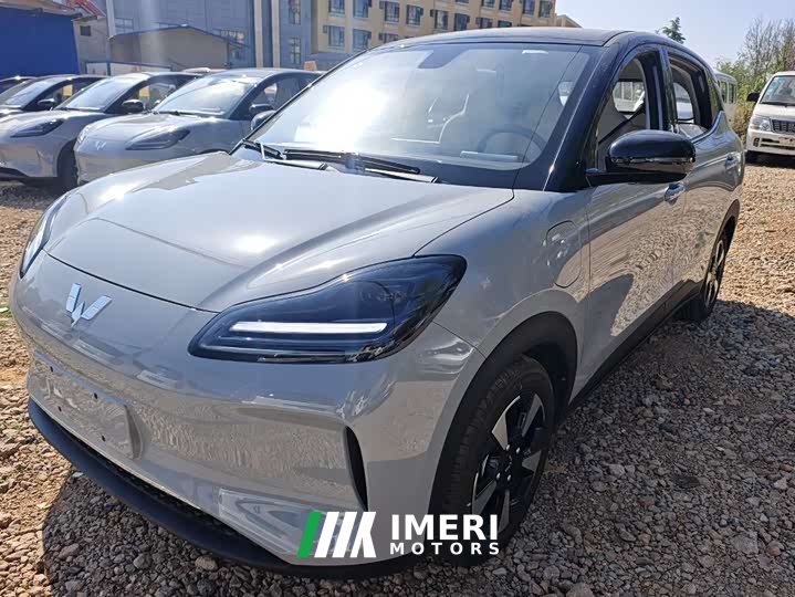 Wuling Bingo PLUS 2024 510km five-seater version