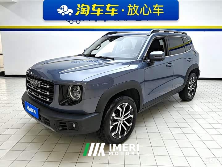Haval Big Dog 2021 1.5T DCT two-wheel drive Border Collie version