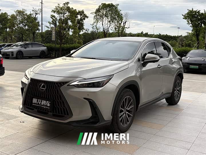 Lexus NX 260 front-wheel drive Chuangchi version