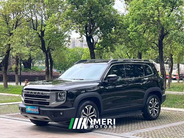 Haval Big Dog 1.5T DCT Border Collie Edition