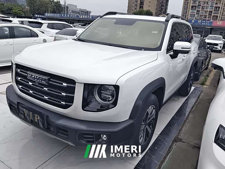 Haval Big Dog 1.5T DCT two-wheel drive Border Collie version