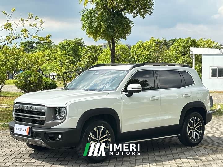 Haval Big Dog 2024 1.5T DCT Border Collie Edition