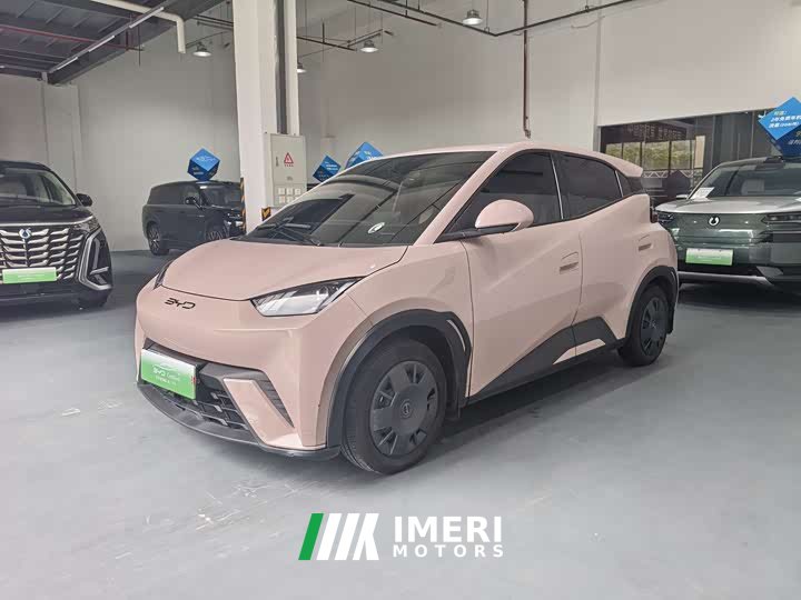 BYD Seagull Honor Edition 305km Vitality Edition