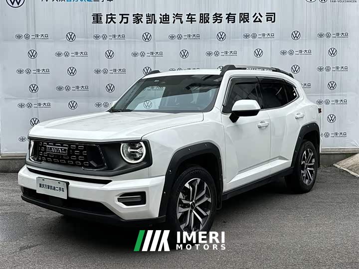Haval Big Dog PLUS 2023 2.0T two-wheel drive trendy version