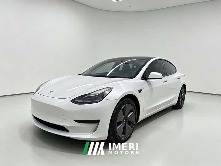 Tesla Model 3 standard range rear drive upgraded version 3D6