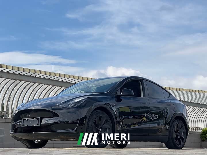 Tesla Model Y rear-wheel drive version