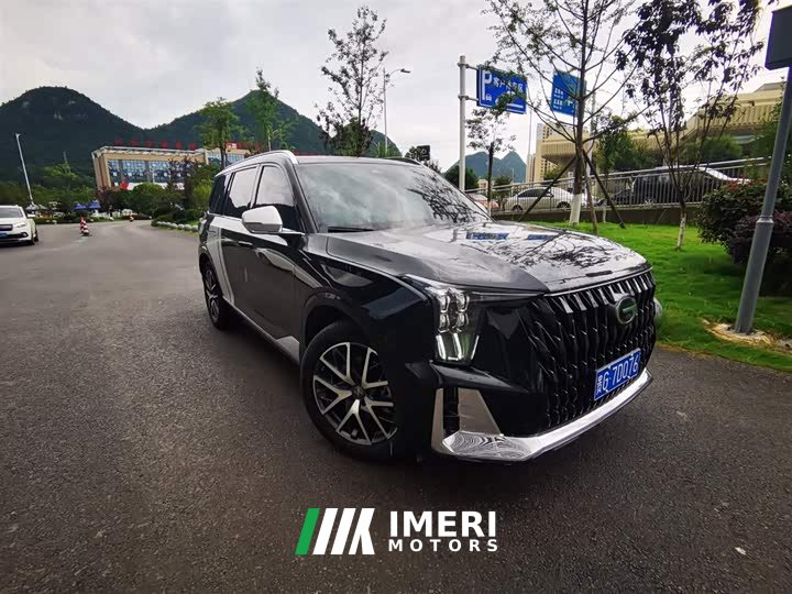 Trumpchi GS8 2022 Dual Engine Series 2.0TM Two-wheel drive Premium Edition (seven seats)