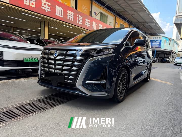 Denza D9 2024 DM-i 980 four-wheel drive flagship