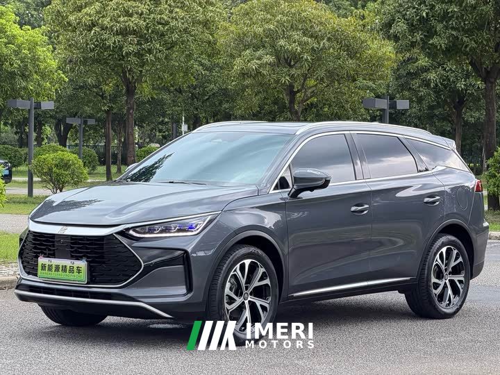 Lexus Tangxin Energy 2025 DM-i 115KM Honor Type