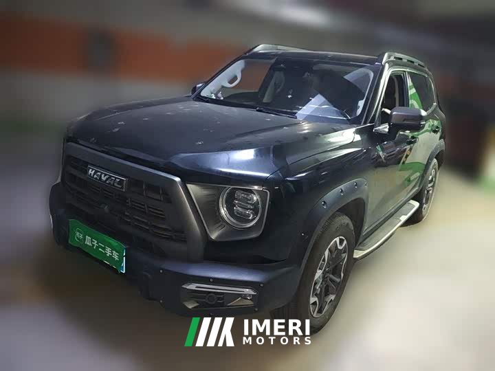 Havaldog 2.0T DCT four-wheel drive Chinese pastoral dog hunting version